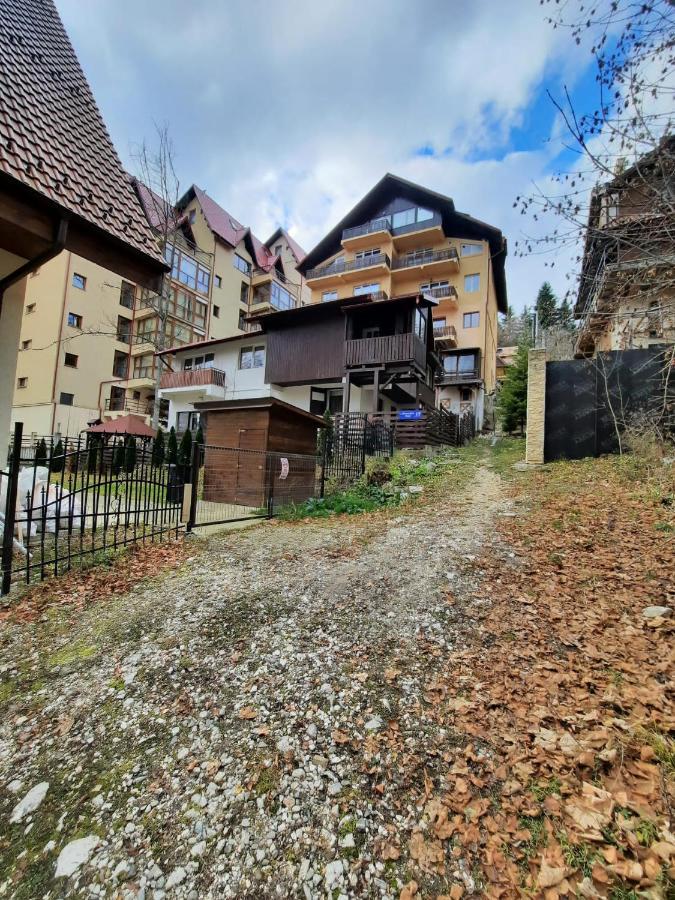 Studio Furnica Sinaia Exterior foto